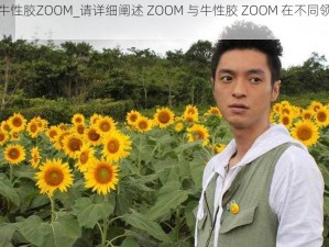 ZOOM与牛性胶ZOOM_请详细阐述 ZOOM 与牛性胶 ZOOM 在不同领域的应用及差异？