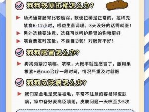 与自己养的金毛做 7 次XX 牌狗粮，让你和爱犬的每一次互动都充满乐趣