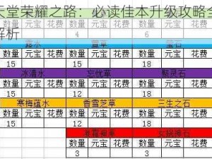 天堂荣耀之路：必读佳本升级攻略全解析