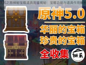 天天风之旅神秘宝箱道具图鉴揭秘：宝箱功能与道具作用解析全面指南