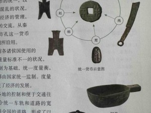 探寻秦储：了解它的用途和作用