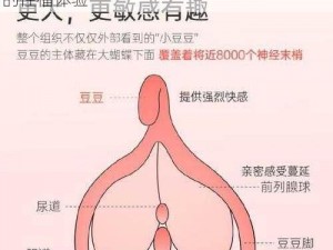 情网站色成人情趣用品，让你享受前所未有的性福体验