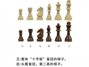 国寄象棋全面指南：安装步骤与配置说明详解