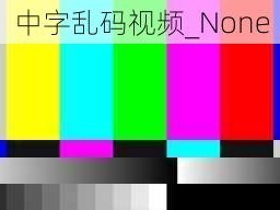 中字乱码视频_None