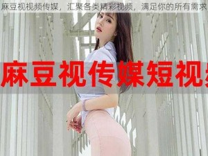 麻豆视视频传媒，汇聚各类精彩视频，满足你的所有需求