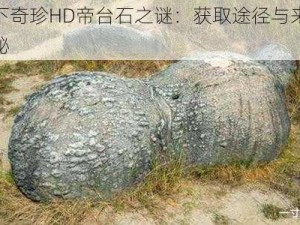 天下奇珍HD帝台石之谜：获取途径与来历探秘