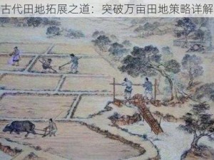 古代田地拓展之道：突破万亩田地策略详解