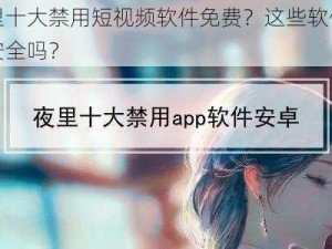 夜里十大禁用短视频软件免费？这些软件真的安全吗？