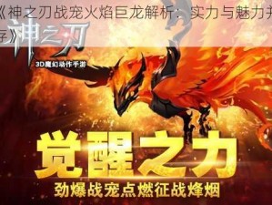 《神之刃战宠火焰巨龙解析：实力与魅力并存》