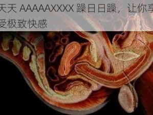 天天 AAAAAXXXX 躁日日躁，让你享受极致快感