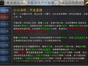 王者全能达人：掌握游戏内外秘籍，技能进阶终极攻略