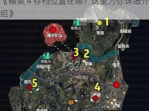 《精英 4 存档位置在哪？这里为你详细介绍》