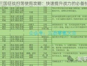 萌三国征战扫荡使用攻略：快速提升战力的必备技巧