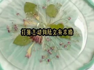 漾出 over flower 第一季翻译为什么这么难？如何才能更好地理解其内容？