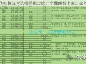 天域幻想：豪华神将阵容选择搭配攻略：全面解析土豪玩家的神将搭配策略