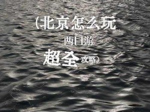 攻略必备：优质攻略系统 by 蜜丸，轻松游戏不迷路