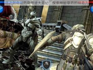 无尽之剑命运药草用途大揭秘：探索神秘草药的神奇力量