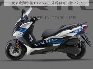 天菜宏翔小蓝 GY2022 的外观有何独特之处？