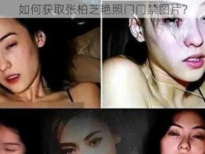 如何获取张柏芝艳照门门禁图片？