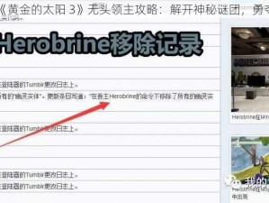 探索《黄金的太阳 3》无头领主攻略：解开神秘谜团，勇夺胜利