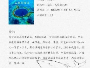 探索黎明之海的神秘宝藏：海上报清单玩法揭秘