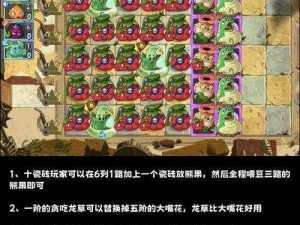 埃及最后一个小游戏怎么过？《植物大战僵尸 2》超详细攻略