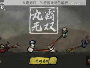 丸霸无双：独特游戏特色解析