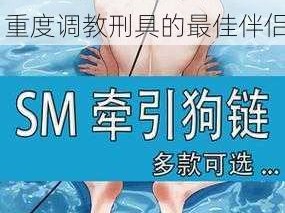 加重加粗的狗项圈——sm 重度调教刑具的最佳伴侣