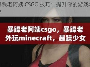 暴躁老阿姨 CSGO 技巧：提升你的游戏水平