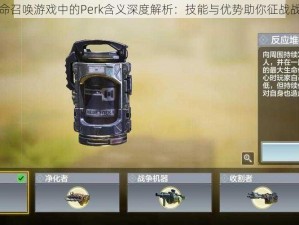 使命召唤游戏中的Perk含义深度解析：技能与优势助你征战战场