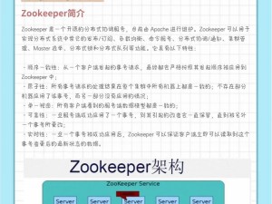 为什么 ZOOKEEPER 另类的解决方案如此有效？