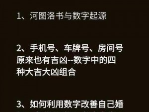 九幺 91 功能为何如此强大？带你揭秘背后的秘密