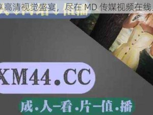 畅享高清视觉盛宴，尽在 MD 传媒视频在线入口