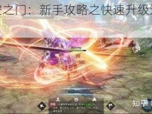 探索天空之门：新手攻略之快速升级途径全解析