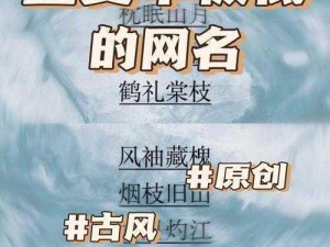 四虎最新网名更新 yw52777，热门网站推荐，让你畅游互联网