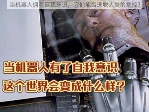 当机器人拥有自我意识，它们能否逃脱人类的掌控？