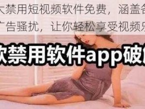 夜里十大禁用短视频软件免费，涵盖各类短视频，无广告骚扰，让你轻松享受视频乐趣