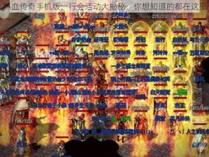 热血传奇手机版：行会活动大揭秘，你想知道的都在这里