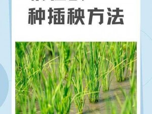 夫妻之间的 108 种插秧法图片：夫妻性生活技巧教学，让你和伴侣享受更多乐趣