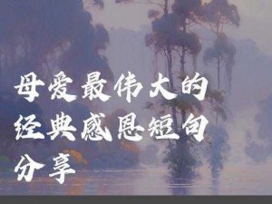 伟大的母爱 1 至 15 节：母亲为何如此伟大？怎样的爱才是伟大的母爱？