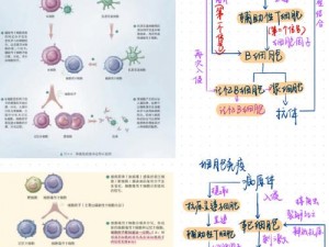 万象物语中的特殊免疫状态详解：探索几种独特免疫机制的特点与功能