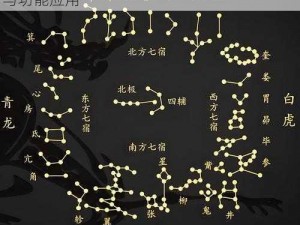 天天幻灵星象系统深度解析：探索星象奥秘与功能应用