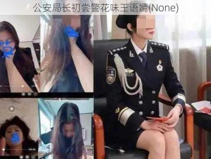 公安局长初尝警花味王语嫣(None)