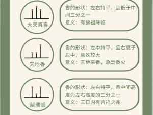 大香煮 2024 一人一煮是什么？为什么要选择它？如何使用呢？