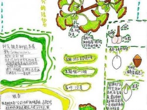 探索禁闭求生植物的奥秘：揭秘植物作用大汇总