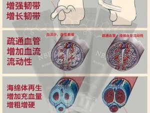 性服务一阳吞三阴是什么意思——延时助勃，增大增粗，提升性能力