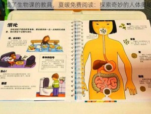 我成了生物课的教具，夏暖免费阅读：探索奇妙的人体奥秘