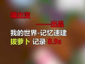 为什么需要两个人在室内拔萝卜？有哪些软件可以帮助？