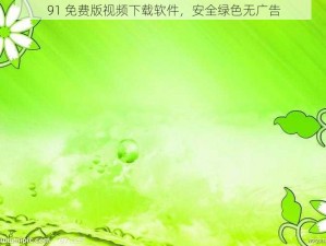 91 免费版视频下载软件，安全绿色无广告