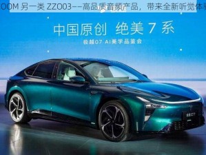 ZOOM 另一类 ZZO03——高品质音频产品，带来全新听觉体验